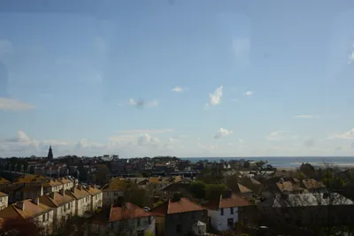 DSC_7243 (Large).JPG